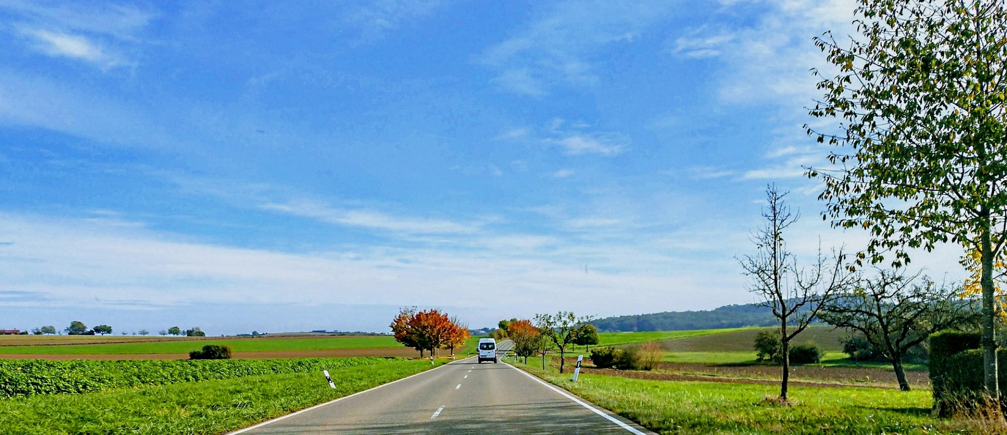 Straße durch die Westpfalz